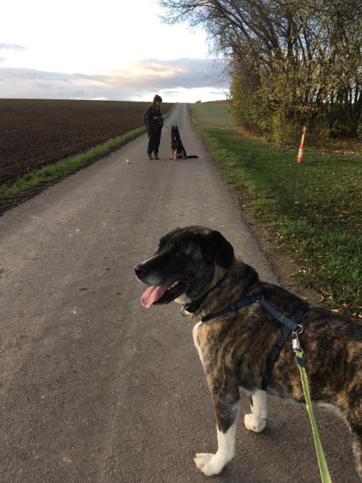 Die Begegnungsmeister - Social Walk Die Begegnungsmeister - Social Walk